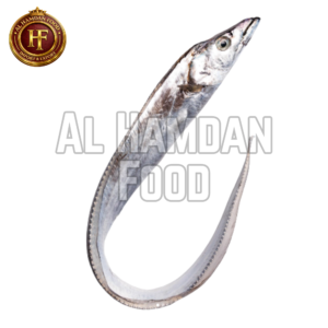 Ribbon fish from Indonesia (带鱼)