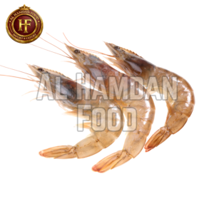 Shrimp / Prawn (虾)