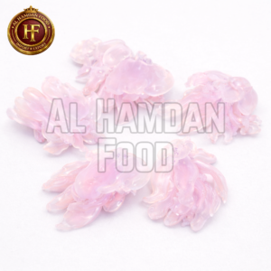 Jelly Fish 海蜇 (Hǎi zhé)