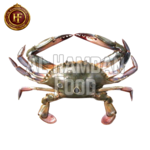 Three Star Crab (三星螃蟹)